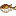 ?? ??
